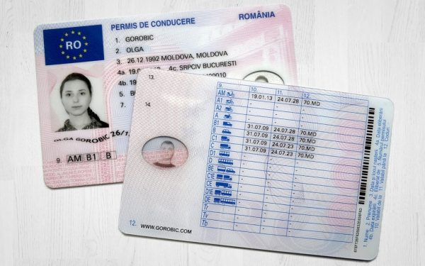 Purchase Original Romanian Permit - Imagen 2